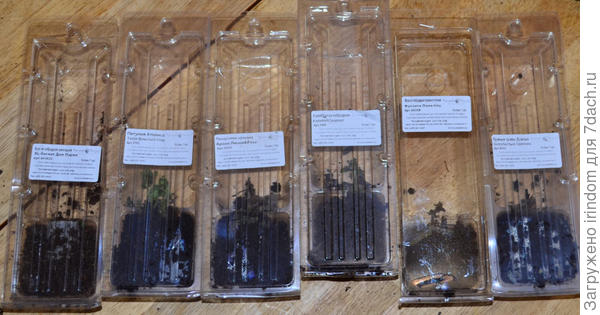 погибшие растения