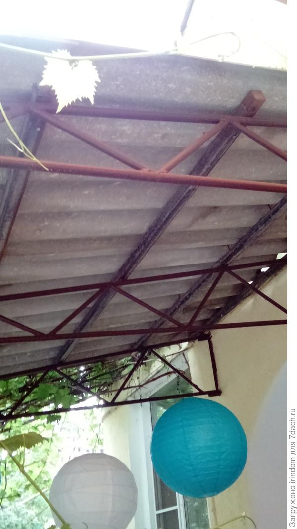 photo5
