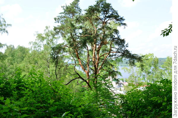 Плёс