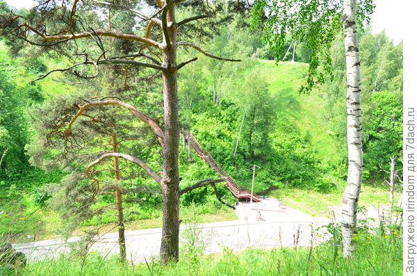 Плёс