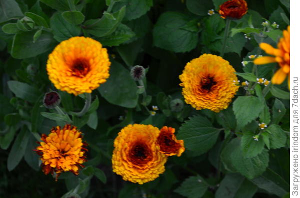 фото