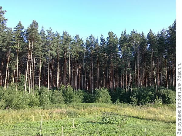 окраина поселка