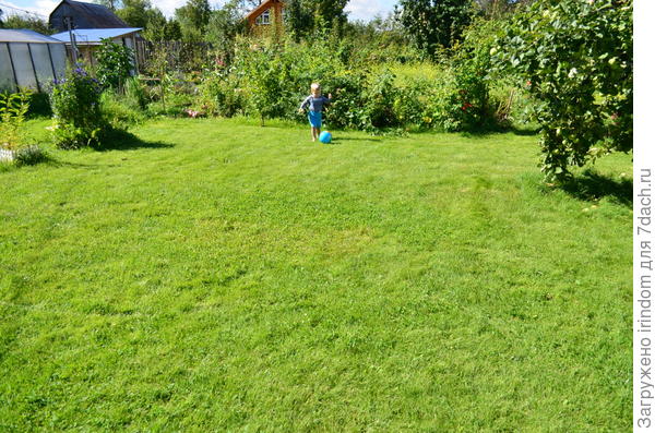 Лужайка - хочешь играй, хочешь - валяйся)))