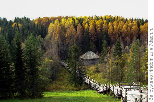 Вот она такая - наша осень