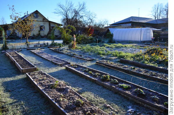 2016