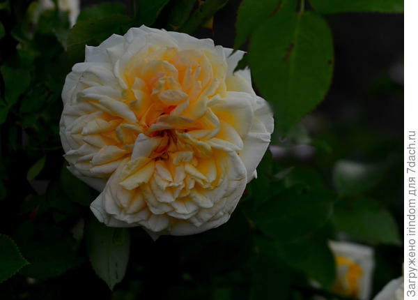 когда есть желание выбрать его часть