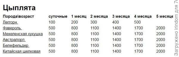 цены на цыплят