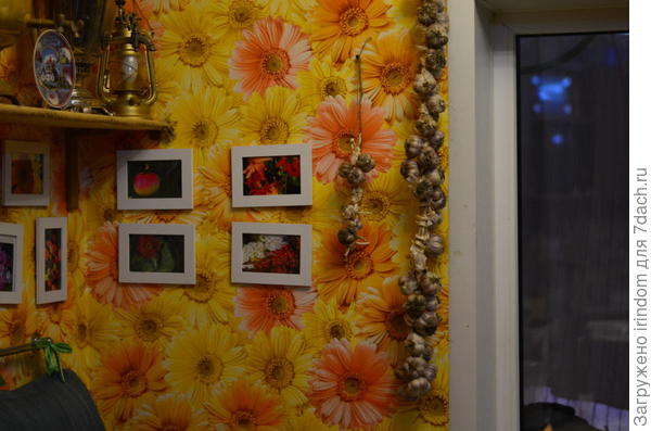 Вот так до нового урожая и висит, постепенно убывая)))