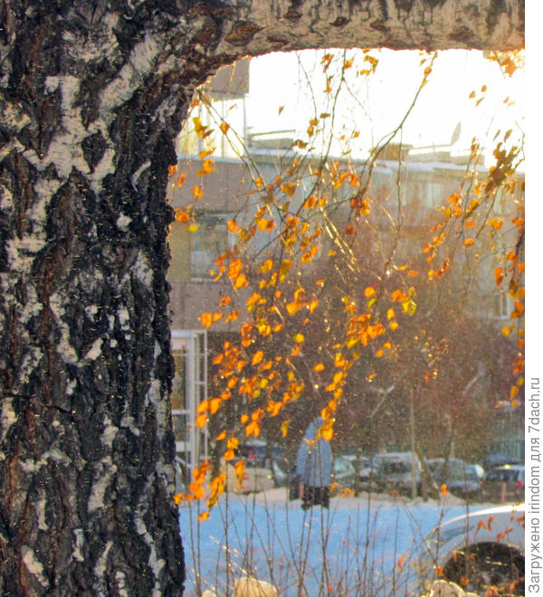 И вижу его так: