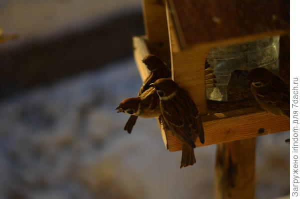 Как улучшить снимок?