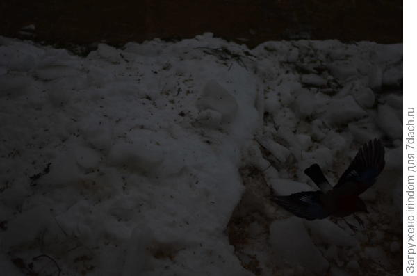 То, что получилось при съемке