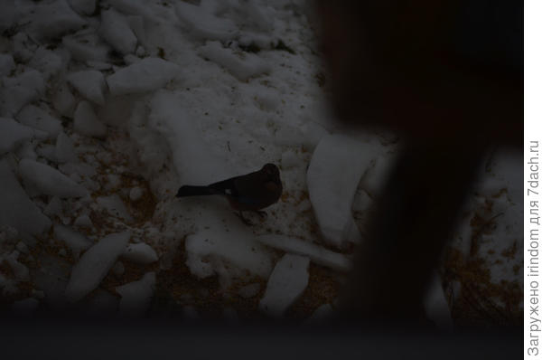 Начальный снимок из окна