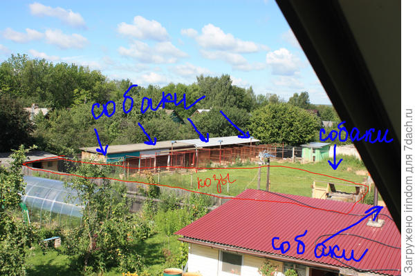 Собаки сидят в вольерах и за нашей баней. Ну и еще бегают по всей территории участка. Часть отгорожена под выгул коз.