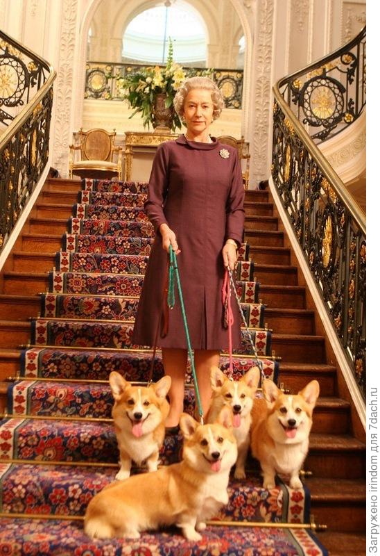 корги Елизаветы II