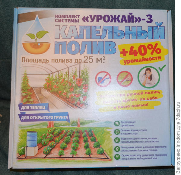 мимо не пройти