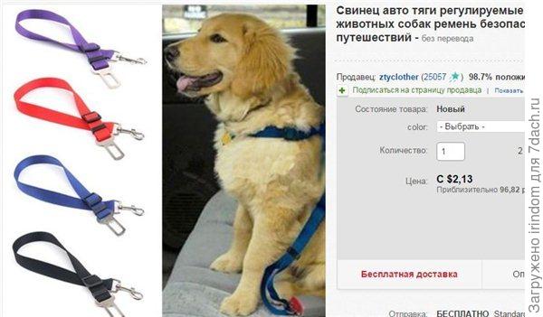Ремень безопасности
