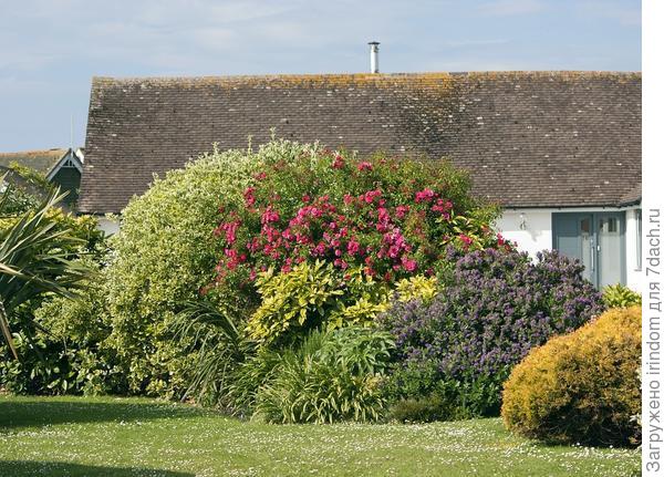 Чтобы цвели, сменяя друг друга.