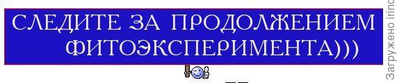 и присоединяйтесь
