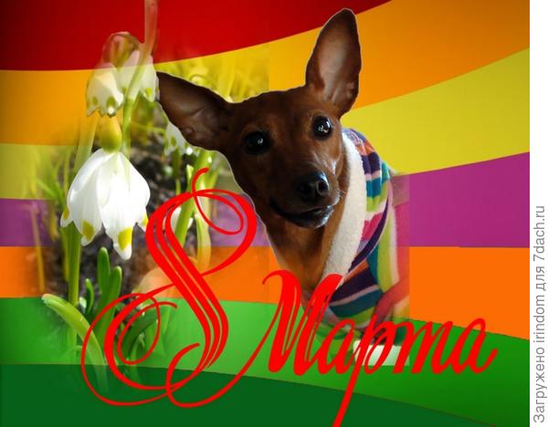 Всех девочек с праздником))