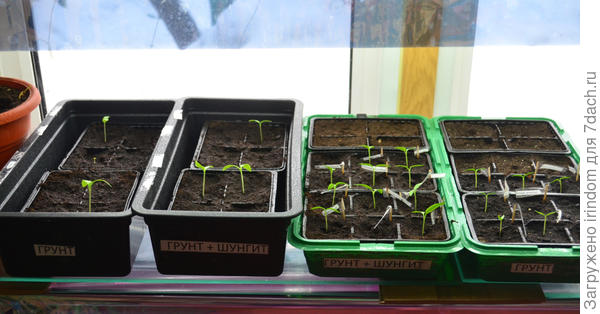 Под белой светодиодной лампой