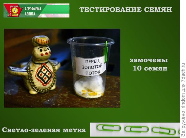 Снежный будильник для семян