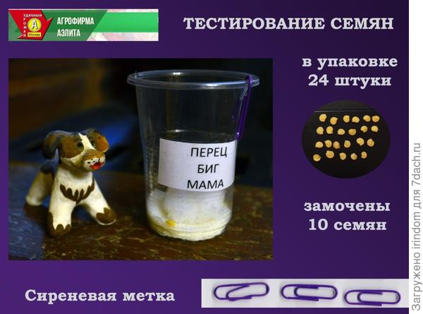 Маленький кусочек снега для пробуждения семян