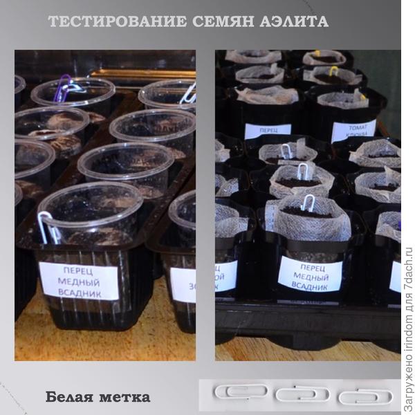 Медный Всадник