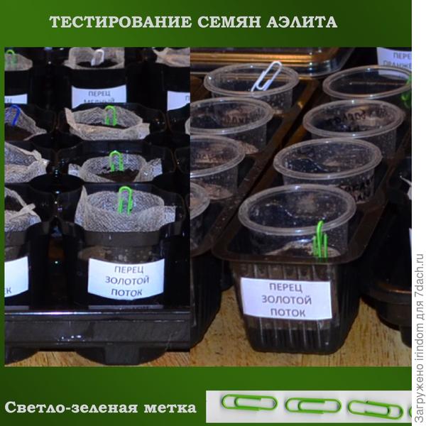 Золотой Поток