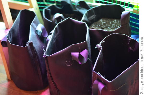 Остапа понесло,