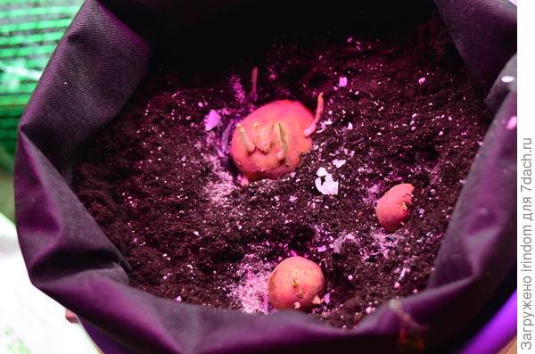 а почему бы и нет?