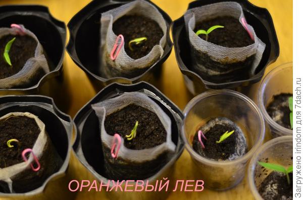 20 марта