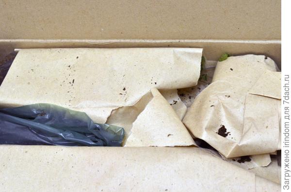 Аккуратно упаковано