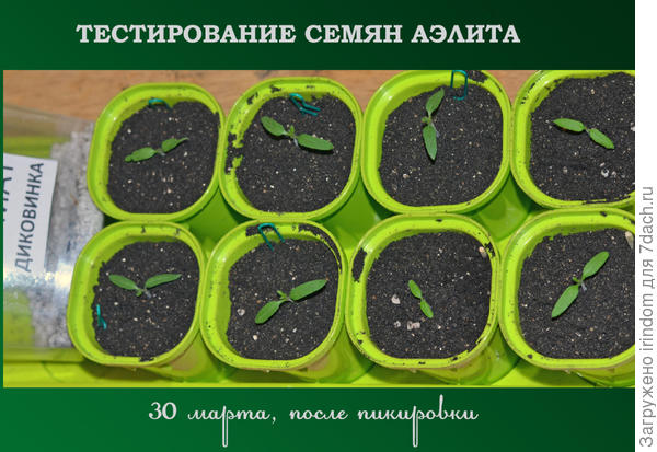 После пикировки, 30 марта