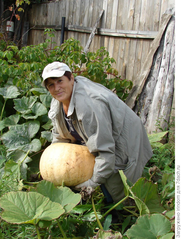 Урожая хватило на всю семью