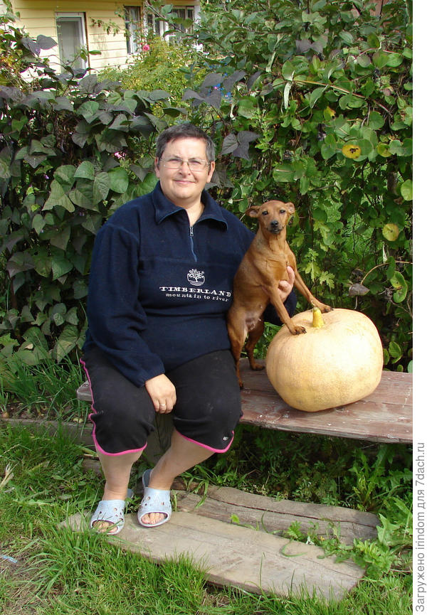 Даже собакам