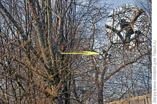 Неудачная охота