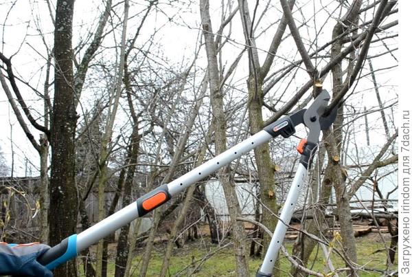 Тонкие - обрезает вообще без усилий