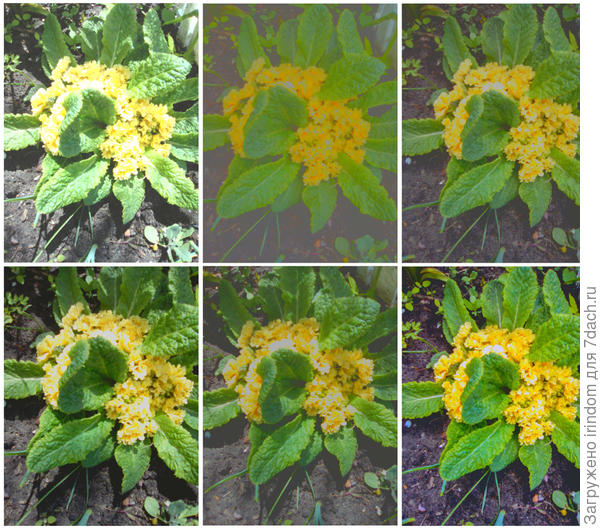 Попытка съемки в разных режимах