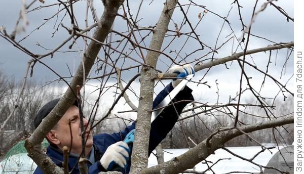 Убираем конкурентов центрального проводника