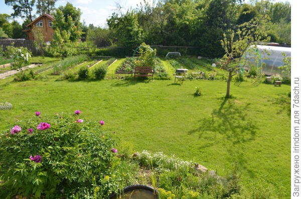 Скошен был три дня назад