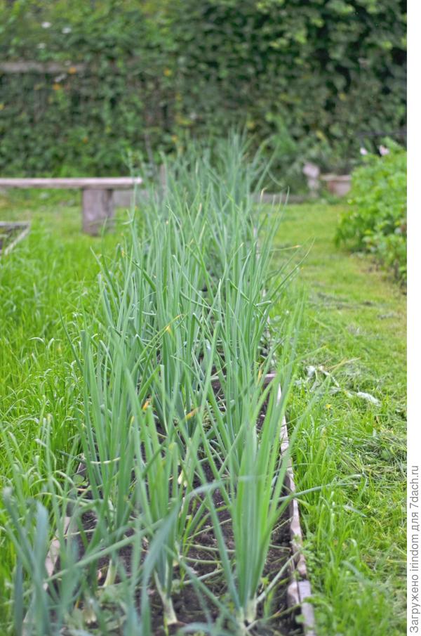 Внешне вполне прилично выглядит.