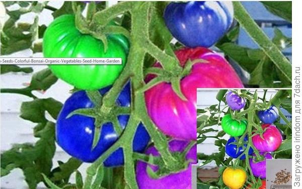 Семена всего за 0,99$