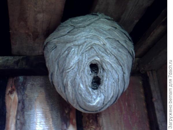 С двумя входами !!!