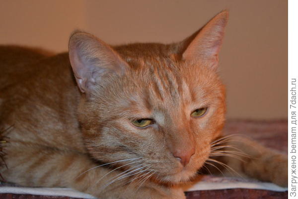 Когда же оно придёт !