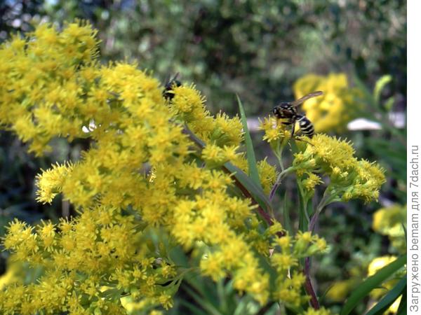 Закрытие сезона.