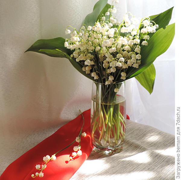 С  юбилеем !!!