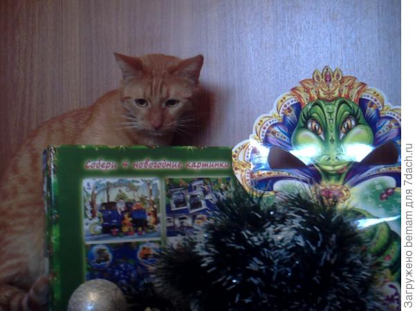 Шарик... Для меня ?