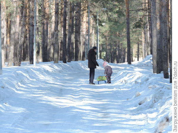 С внучками поехали подышать в лес.