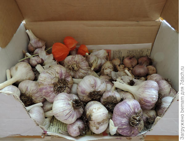 Запасы на исходе))))