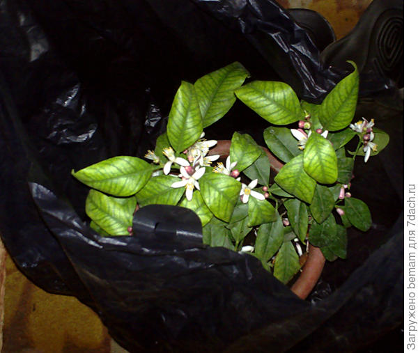 Вот он какой